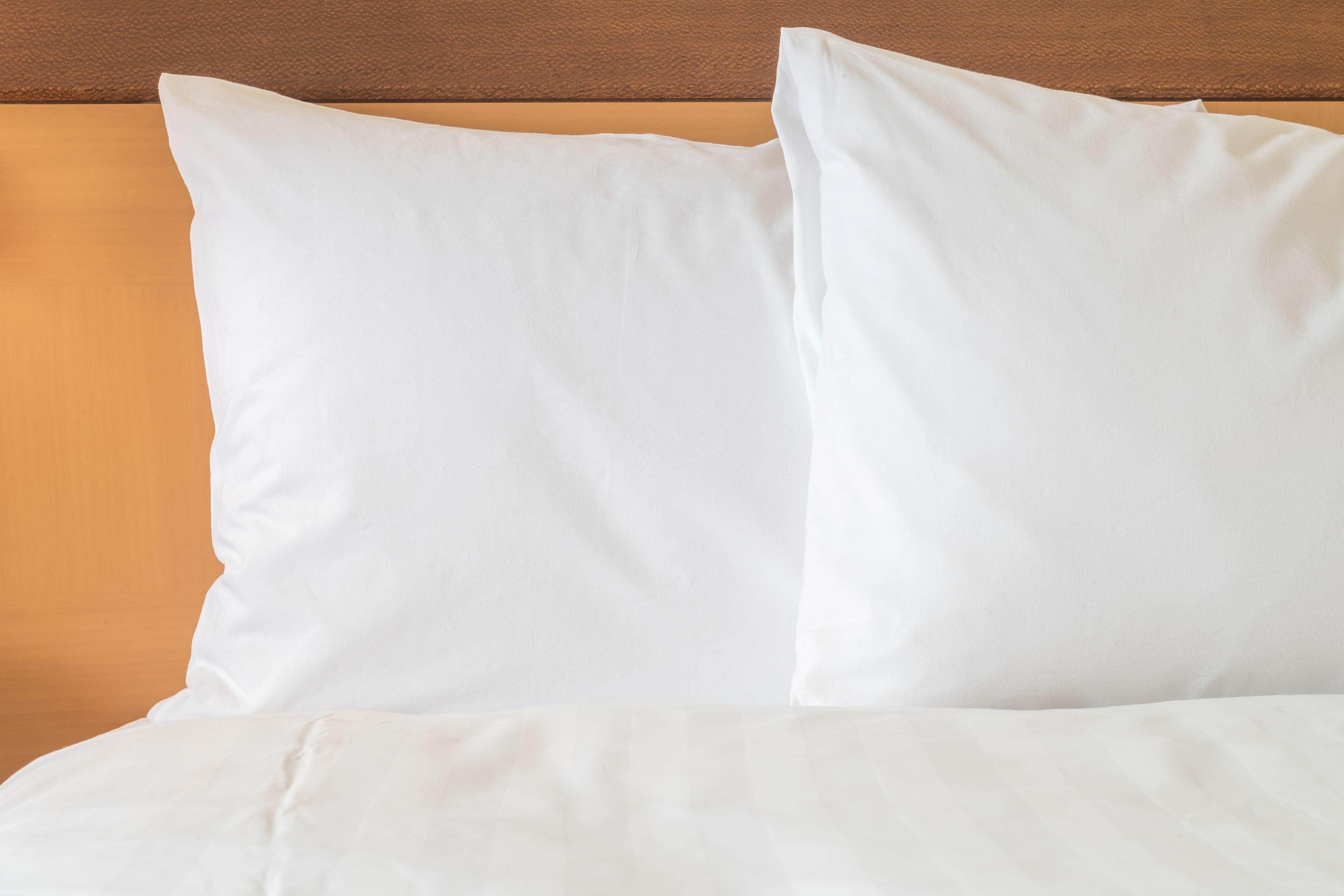 Holiday Inn Express Edmonton North By Ihg Extérieur photo